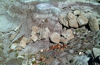 Petrified-log-erodes-from-the-ancient-la