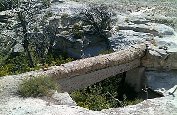 Petrified-log-natural-bridge-PFNP-AZ.jpg