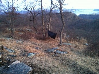 IMG_1133.jpg