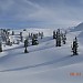 DSCN1115