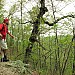 Ozark Trail over Ottery Creek