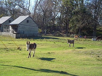 Percy-Quinn-018.jpg