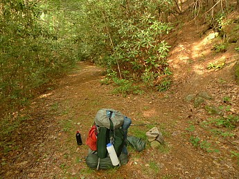 TRIP-122-314.jpg