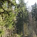 SAM_0544