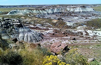 Petrified-Nat-Park-landscape-PFNP-AZ.jpg