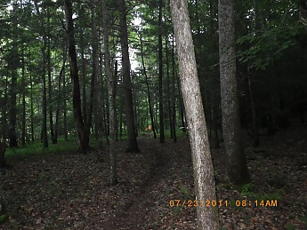 Summer-5-050.jpg