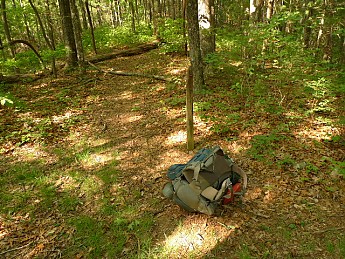 TRIP-122-315.jpg