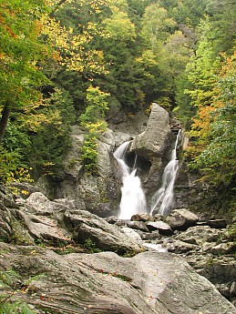 IMG_3697.jpg