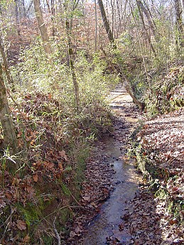 Percy-Quinn-029.jpg