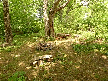 TRIP-122-320.jpg