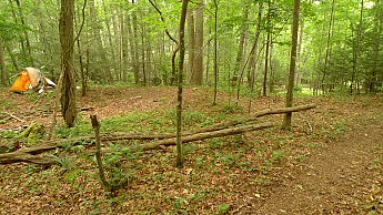 TRIP-123-404.jpg