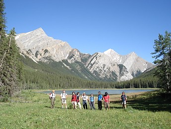 600_20529770.jpg