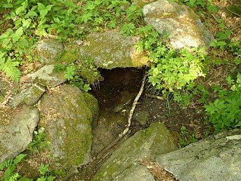 TRIP-122-328.jpg