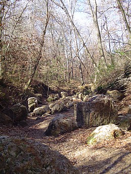 Percy-Quinn-035.jpg