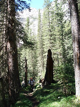 highres_21995059.jpg