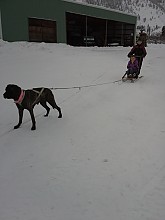 20121226_113411