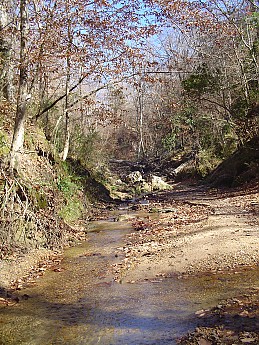 Percy-Quinn-038.jpg