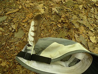 TRIP-122-340.jpg