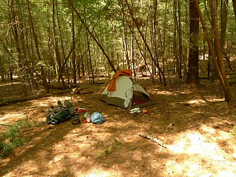 TRIP-122-341.jpg