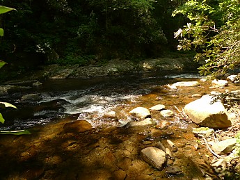 TRIP-122-342.jpg
