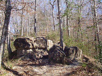 Percy-Quinn-046.jpg