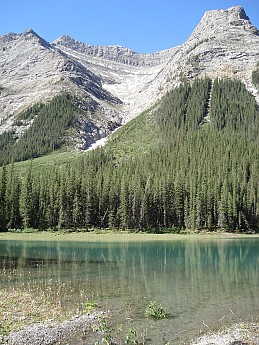 highres_21994878.jpg