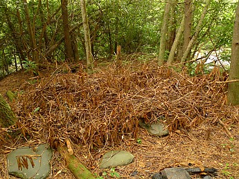 TRIP-125-208.jpg