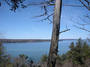 DSCN1119.jpg