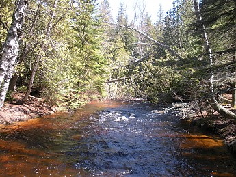 DSCN1137.jpg