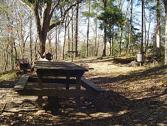 Percy-Quinn-060.jpg