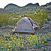 Camping in Big Bend Ranch S.P. Kelty BBRSP
