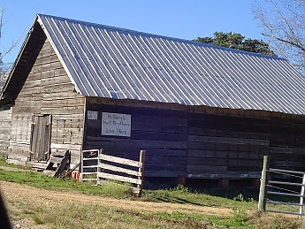 Percy-Quinn-062.jpg