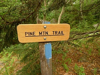 TRIP-123-443.jpg