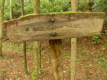 TRIP-122-368.jpg