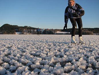 Enetring-the-crystal-garden.jpg
