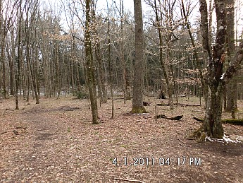 Spring-Trip-4-1-11-011.jpg