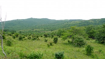 TRIP-123-448.jpg