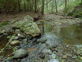 TRIP-122-372.jpg