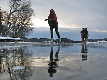 IMG_8172.jpg