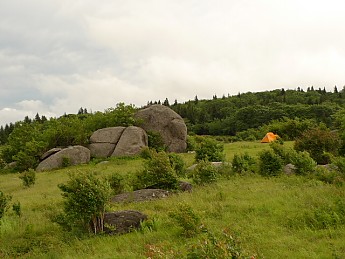 TRIP-123-457.jpg