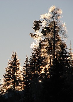 IMG_8235.jpg