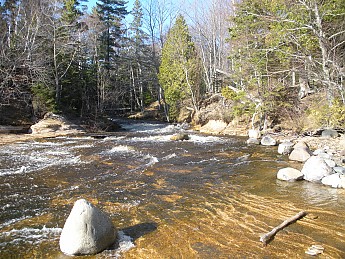 DSCN1169.jpg