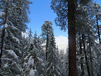 snow-camping-12222012-002_opt.jpg