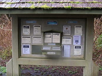 100_1017.jpg