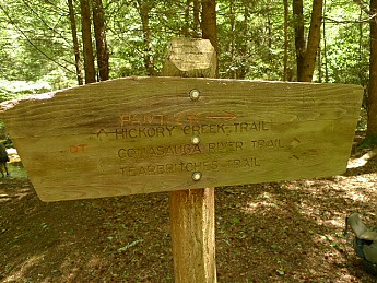 TRIP-122-376.jpg