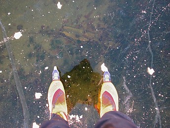 IMG_8254.jpg