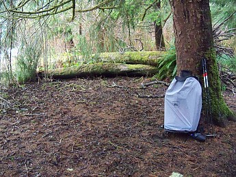 100_1019.jpg