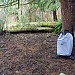 Camp Site - Before