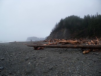 100_1023.jpg