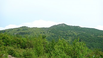 TRIP-123-483.jpg